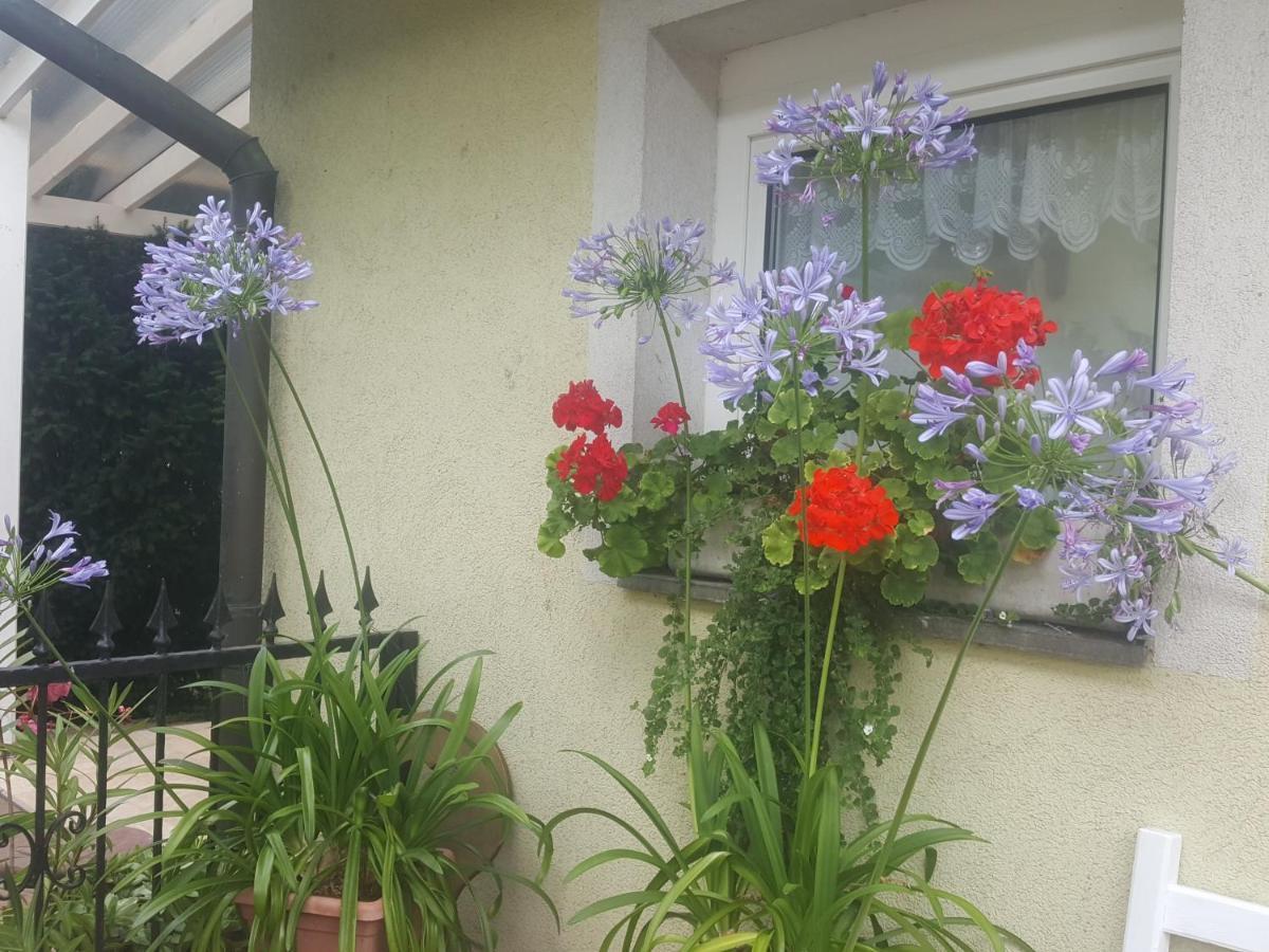 Tavirozsa Apartment บาลาตอนฟุซเฟอ ภายนอก รูปภาพ